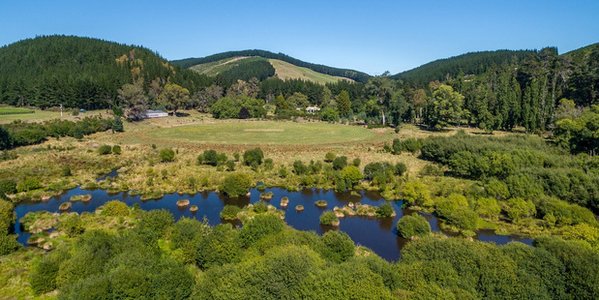 Private cricket ground Waihopai valley